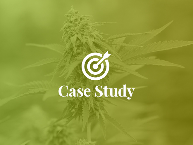 Cannabis Manufacturer Scales Finance and Accounting for Company Growth